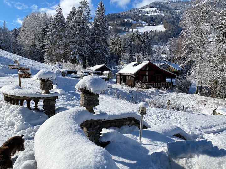 Comfortable Chalet For Nature Lovers - Champéry