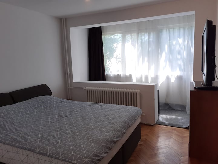 Appartement Confortable Avec 2 Chambres. - Temišvar
