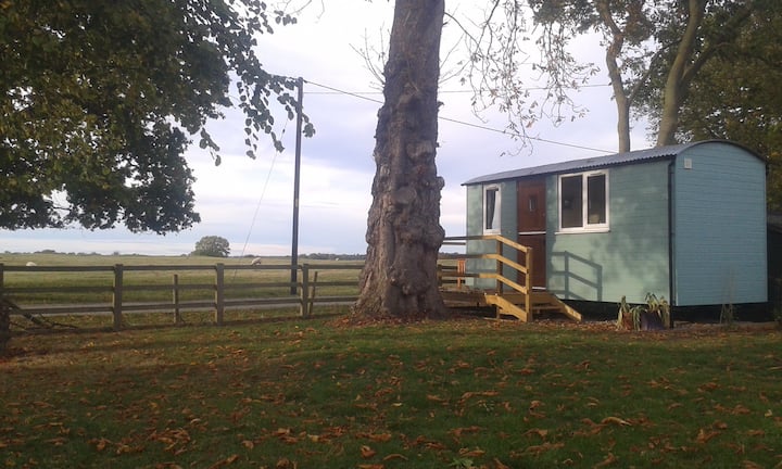 Conker Cabin - Shepherds Hut With A View - Milton Keynes