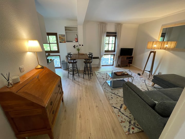 Lovely 2-bedroom Central Flat In Old-town - Versoix