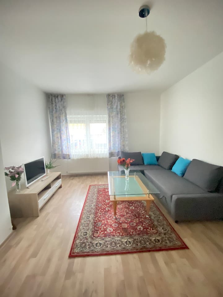 Family-friendly House In Vienna's Suburbs! - 維也納巴登