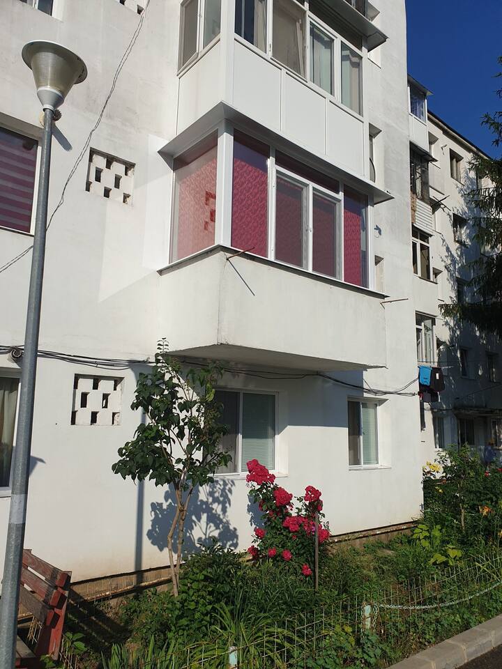 Red House Apartament - Câmpina