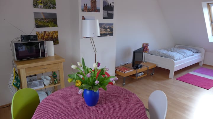 Bright And Clean Rooftop Apartment, Own Bathroom - Mainz