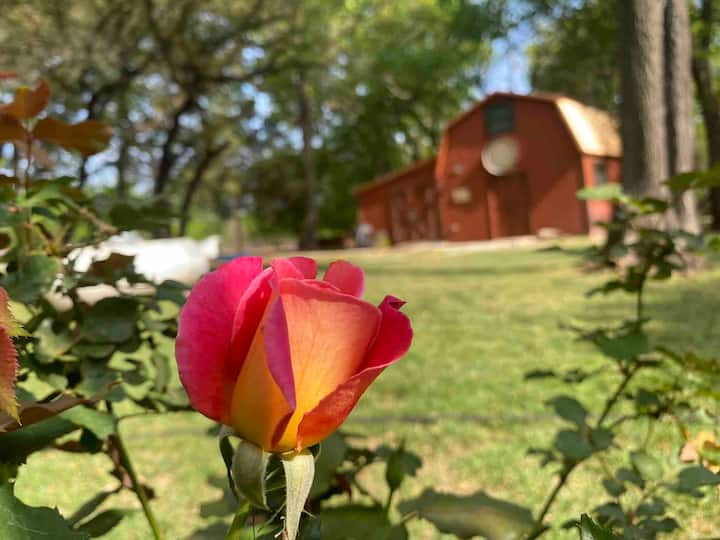 Come Explore Our Rustic Cabin, & Trails! - Fort Worth, TX