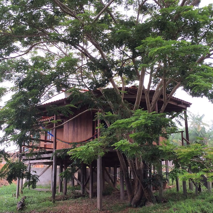 Casa Na Amazônia Na Beira Do Rio Negro - Amazonas