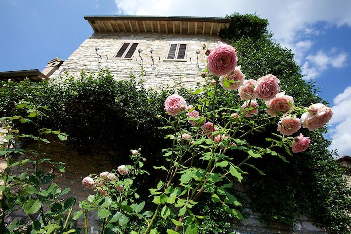Si Son Rose, Casa Vacanze - Assisi