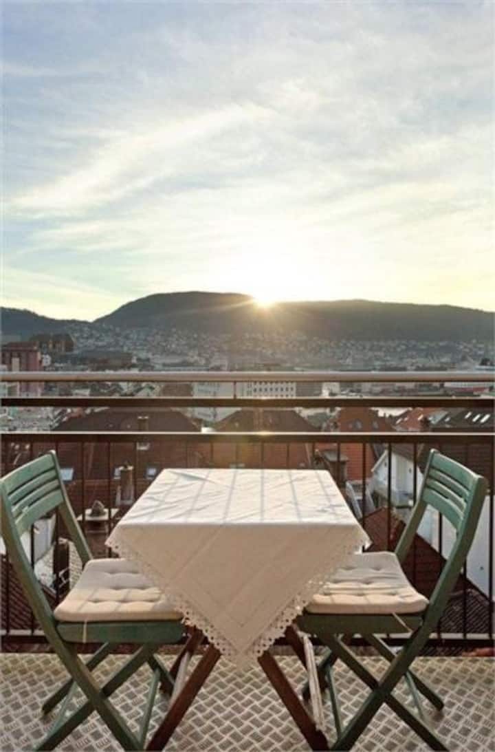 Penthouse Apt. With Great View, City Centre - Bergen