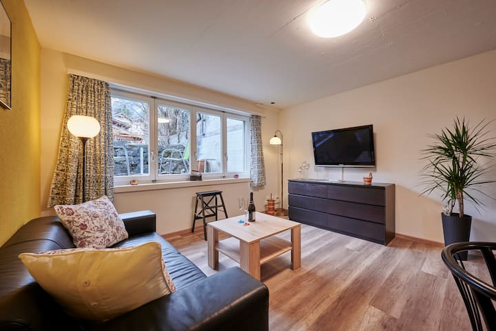 Quiet And Cozy Studio In A Great Location! - Wilderswil