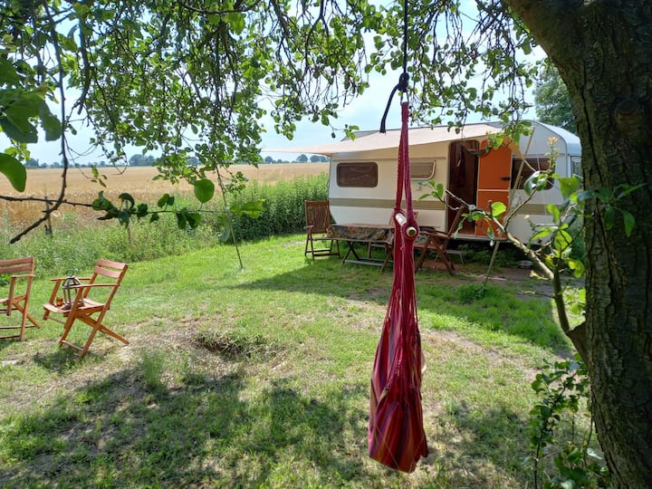 Camping Für Puristen Am Feld - Kyritz