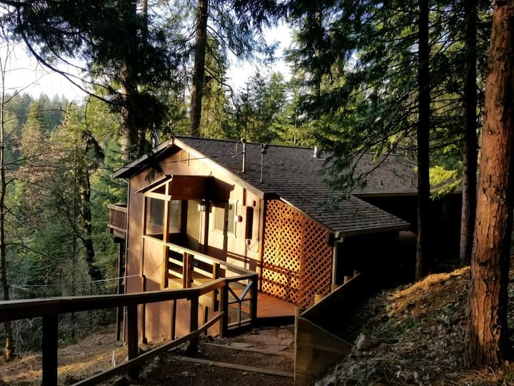 Cedar Pines Cabin - A Quaint Rustic Charmer - Pollock Pines, CA