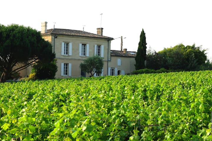 Maison Au Milieu Des Vignes Du Château D’yquem - Sauternes