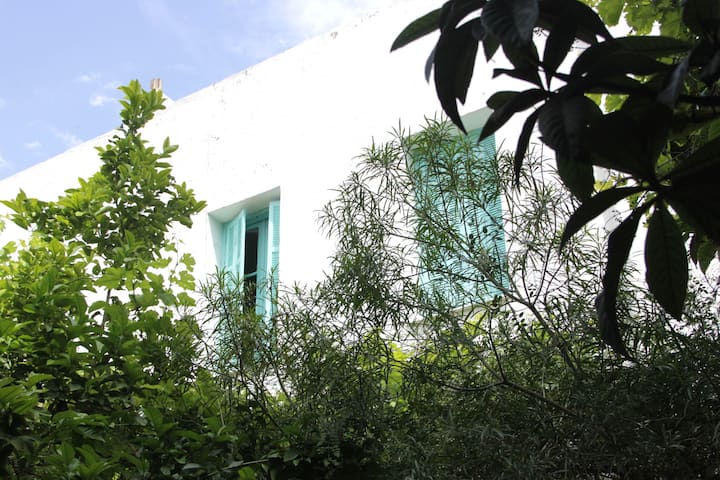 Chambre Vegetale: Ancien Couvent De La Medina - Tunis