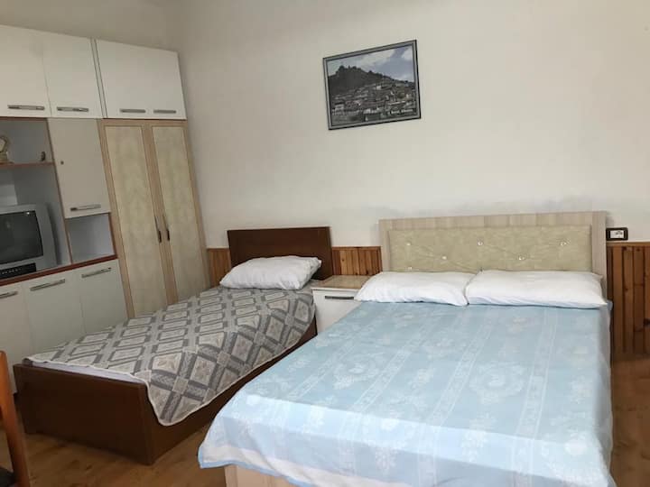 Elvi Aerd Apartment 1 - Distrito de Berat