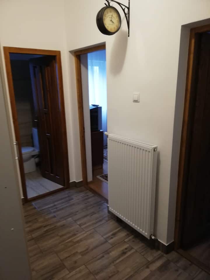 Cozy Apartment In The Middle Of Sovata Resort - Județul Mureș