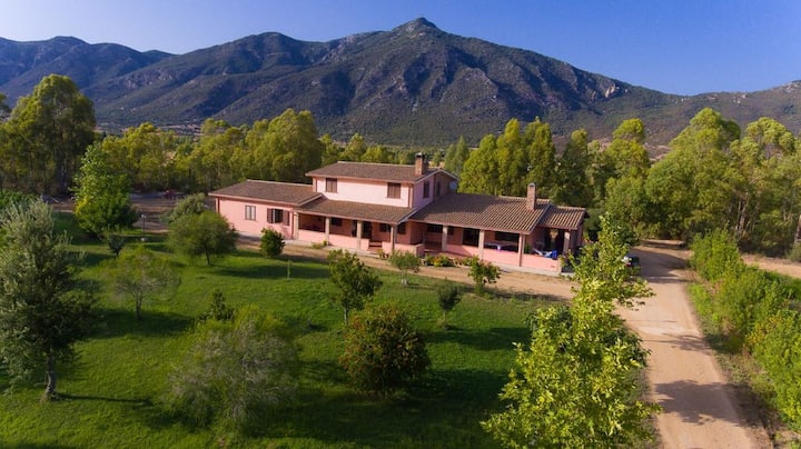 Villa Immersa Nel Verde - Provincia di Sud Sardegna