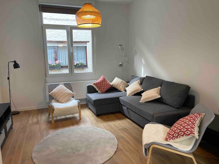 Cosy House Between Antwerp And Brussels - メヘレン