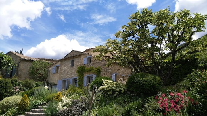 Maison Typiquement Provençale Avec Piscine De 8x4m - Mont Ventoux