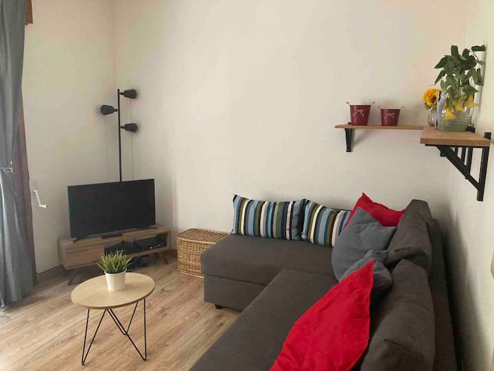 Céntrico Apartamento Con Encanto En Puigcerdà - Masella