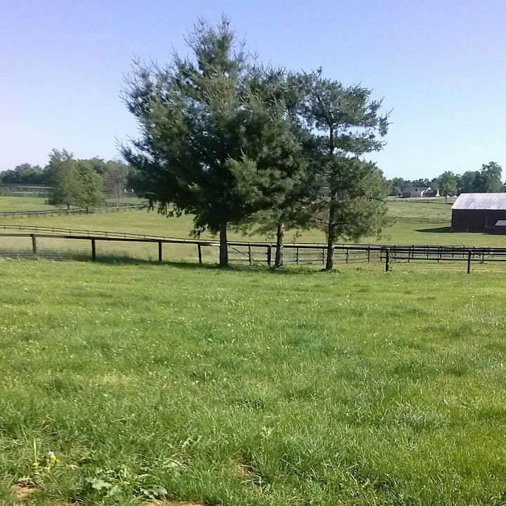 Minutes From Kentucky Horse Park - Lexington, KY