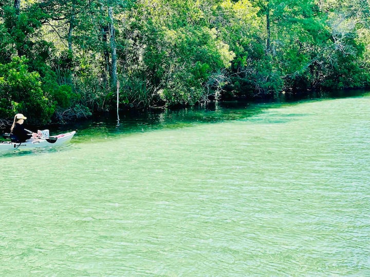 The Hidden Jim W/kayaks & Canoe - Spring Hill, FL