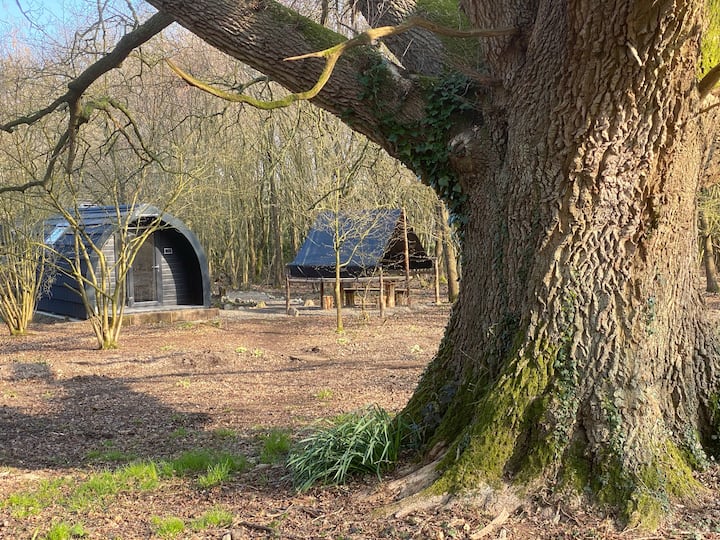 Glamping Pod Nestled In A Wood In The South Downs. - Midhurst