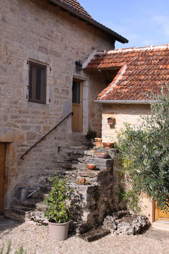 Olive Tree Cottage - Aveyron