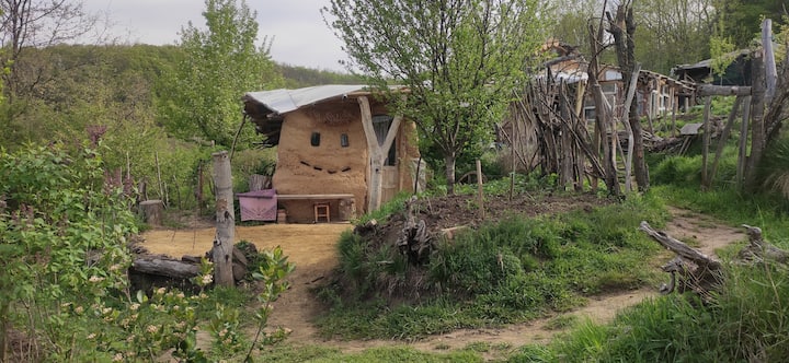 Natural Room On Off-grid Permaculture Farm - Transylvania