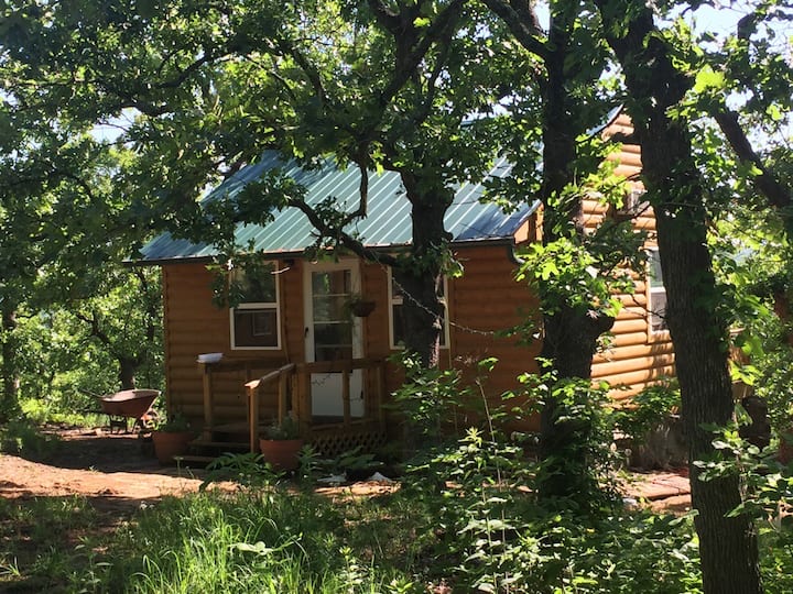 Cabin In The Osage Woods - Skiatook Lake, OK