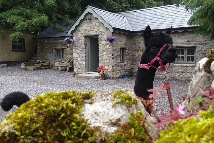 The Lodge @ Hushabye Farm - Tullamore, Ireland