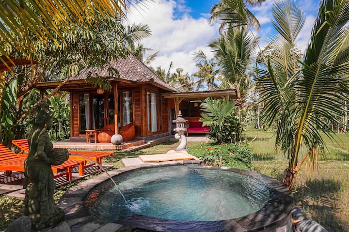 Tranquil Cottage 1 Br Private Pool#north Ubud#l - Bali