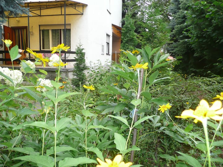 Cottage For Rent At Lake Balaton In Hungary - Balatonszárszó