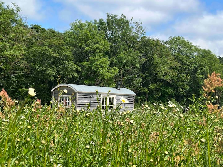 Barn Owl Luxury Shepherd Hut With Private Hot Tub - Yorkshire