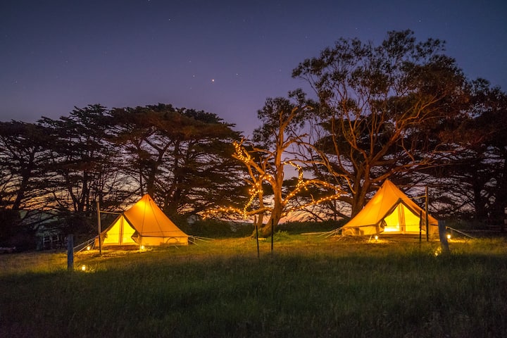Sheltered Glamping Phillip Island - 'Gentoo' Tent - Ventnor