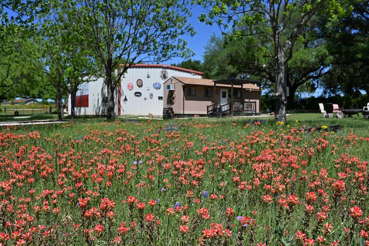 Klein Peach Cottage @ Last Stand On Tx Wine Trail - Luckenbach, TX