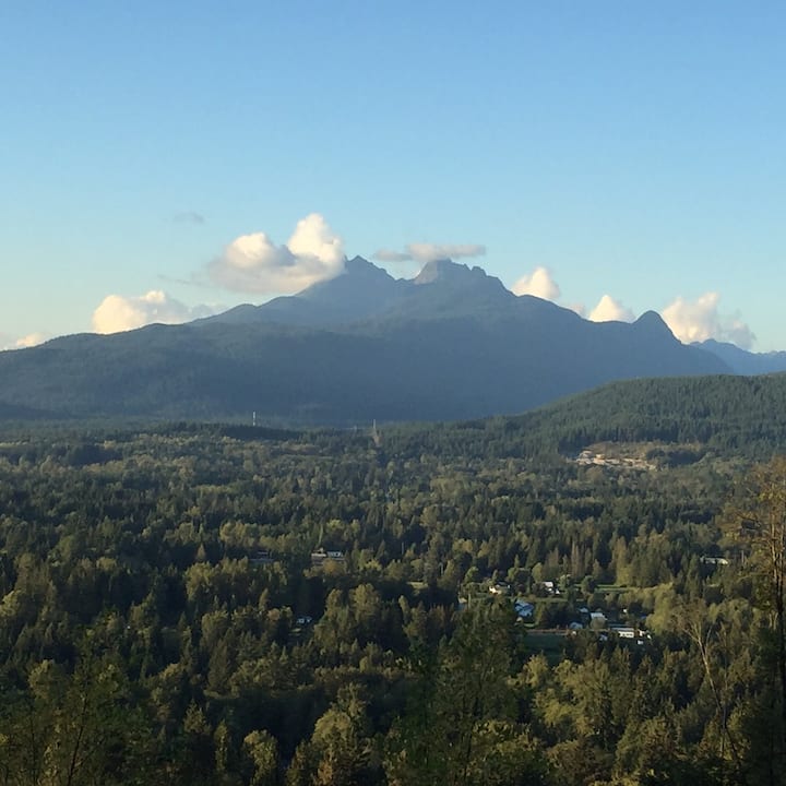 Suite With A View Of The Golden Ears Mountains - Maple Ridge