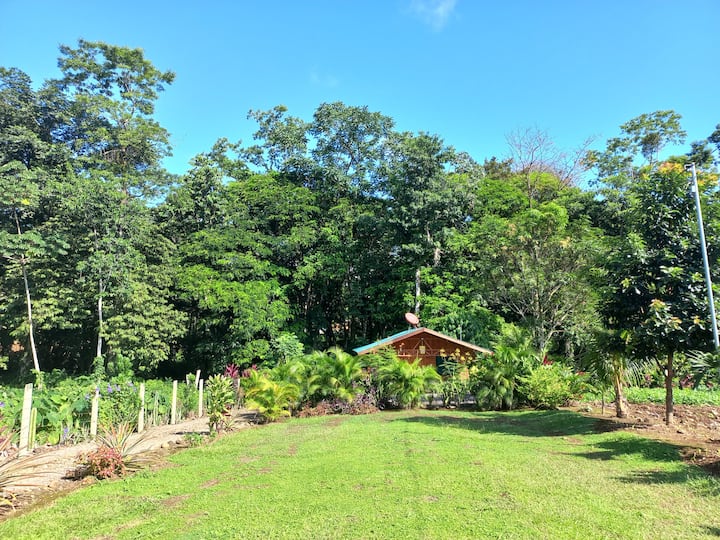 Cabin In The Woods!! Internet De 100mb!! - Costa Rica