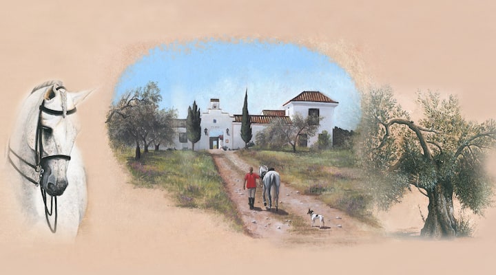 Hacienda Dos Olivos - Villamanrique de la Condesa