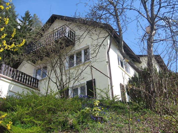 Großzügige Schwarzwaldwohnung In Der Klosterstadt - Alpirsbach