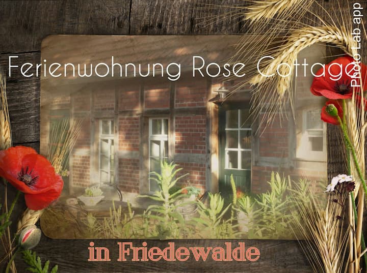 Ferienhaus Rose Cottage - Petershagen