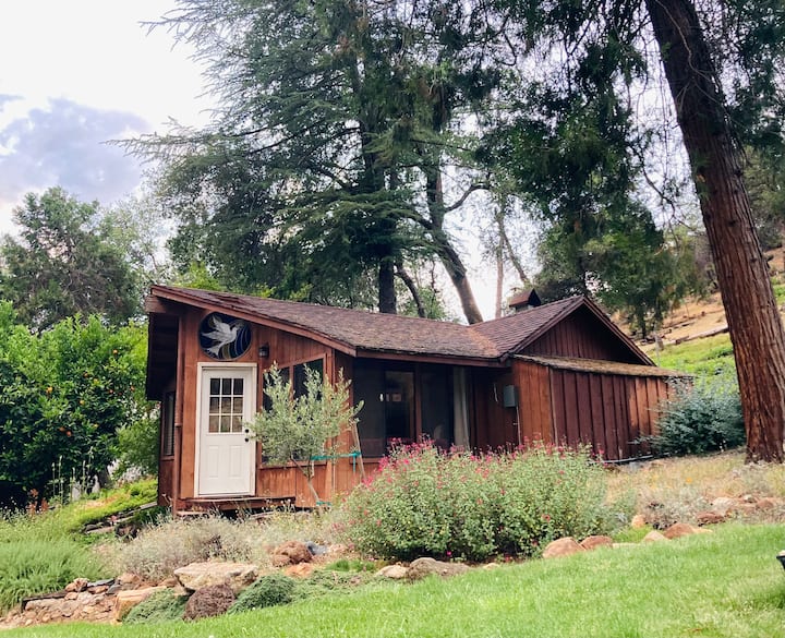 Highland Cottage, Peaceful Country Setting - Shasta Lake, CA