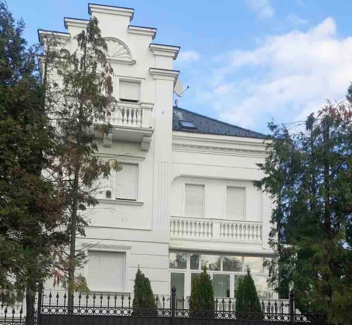 Top Location 7-bedroom Villa With Pool - Belgrad