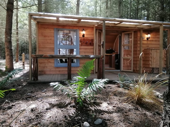 Forest Cabin Muscogen Woods - Fairlie
