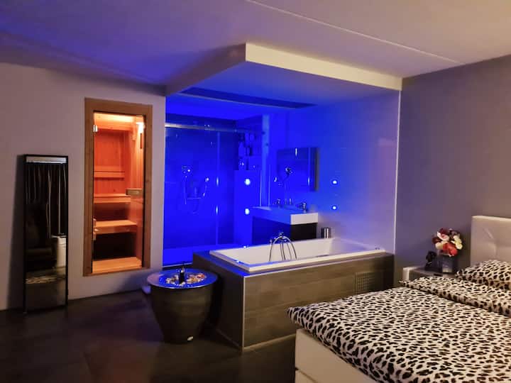 Luxe Apartement Met Jacuzzi En Sauna - Den Haag