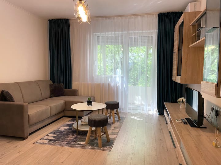 Apartament In Regim Hotelier - Zona Ultracentrala - Satu Mare