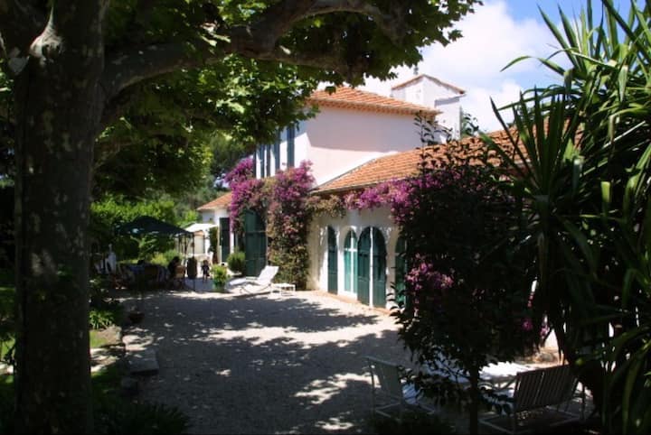 Beautiful Provencal Villa In Cap D`antibes - Antibes