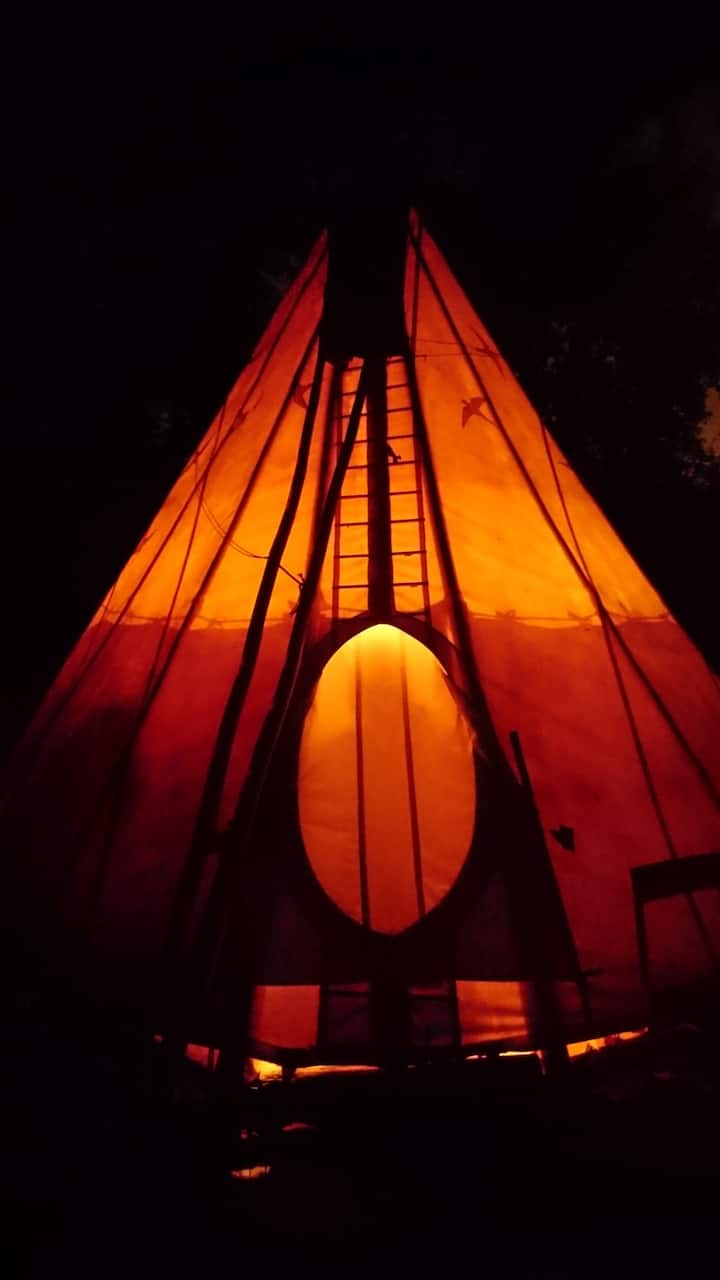 Tipi Amazing Experience ! Nature & Culture Gent - ヘント