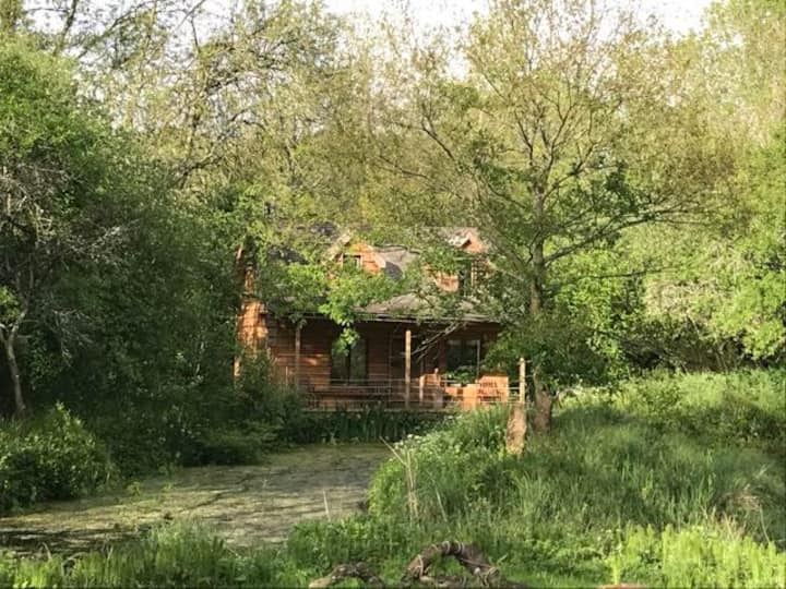 Magical Pond House - Melksham