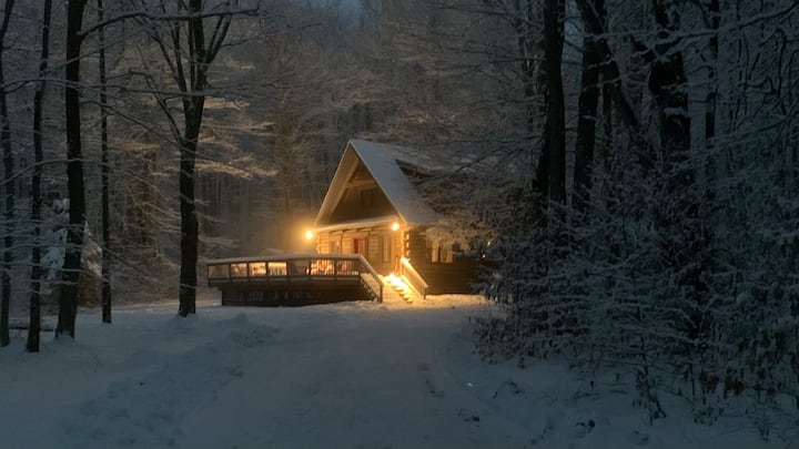 Family (& Remote Work) Friendly Cabin In The Woods - 데이비스