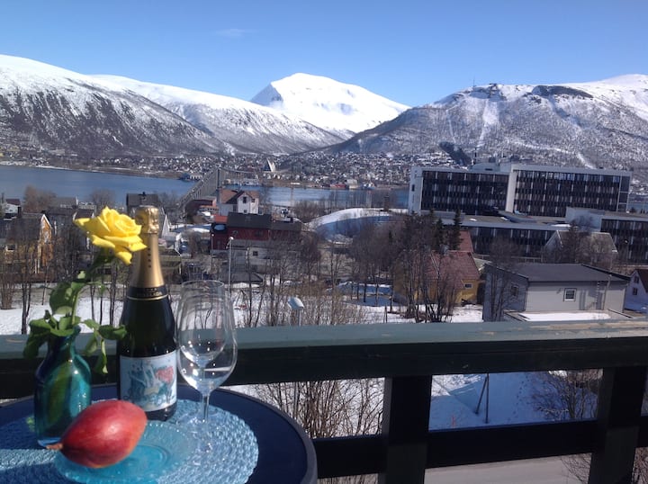 The View, Aurora,skiing/hiking,close To Citycenter - Tromsø