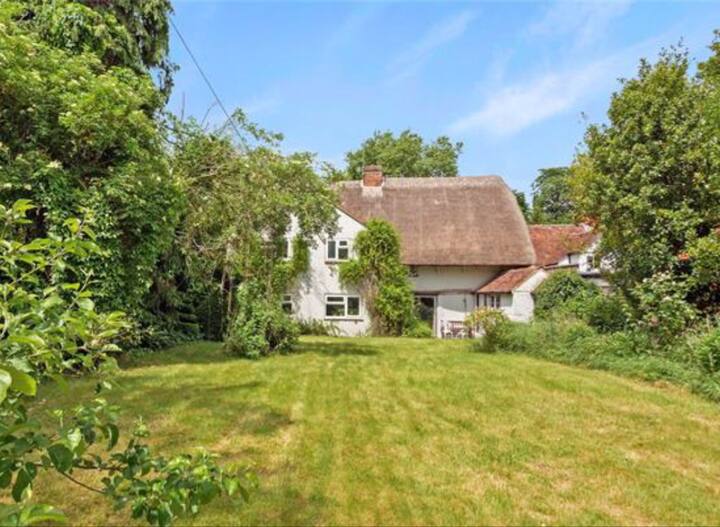 Charming Thatched Cottage - Didcot